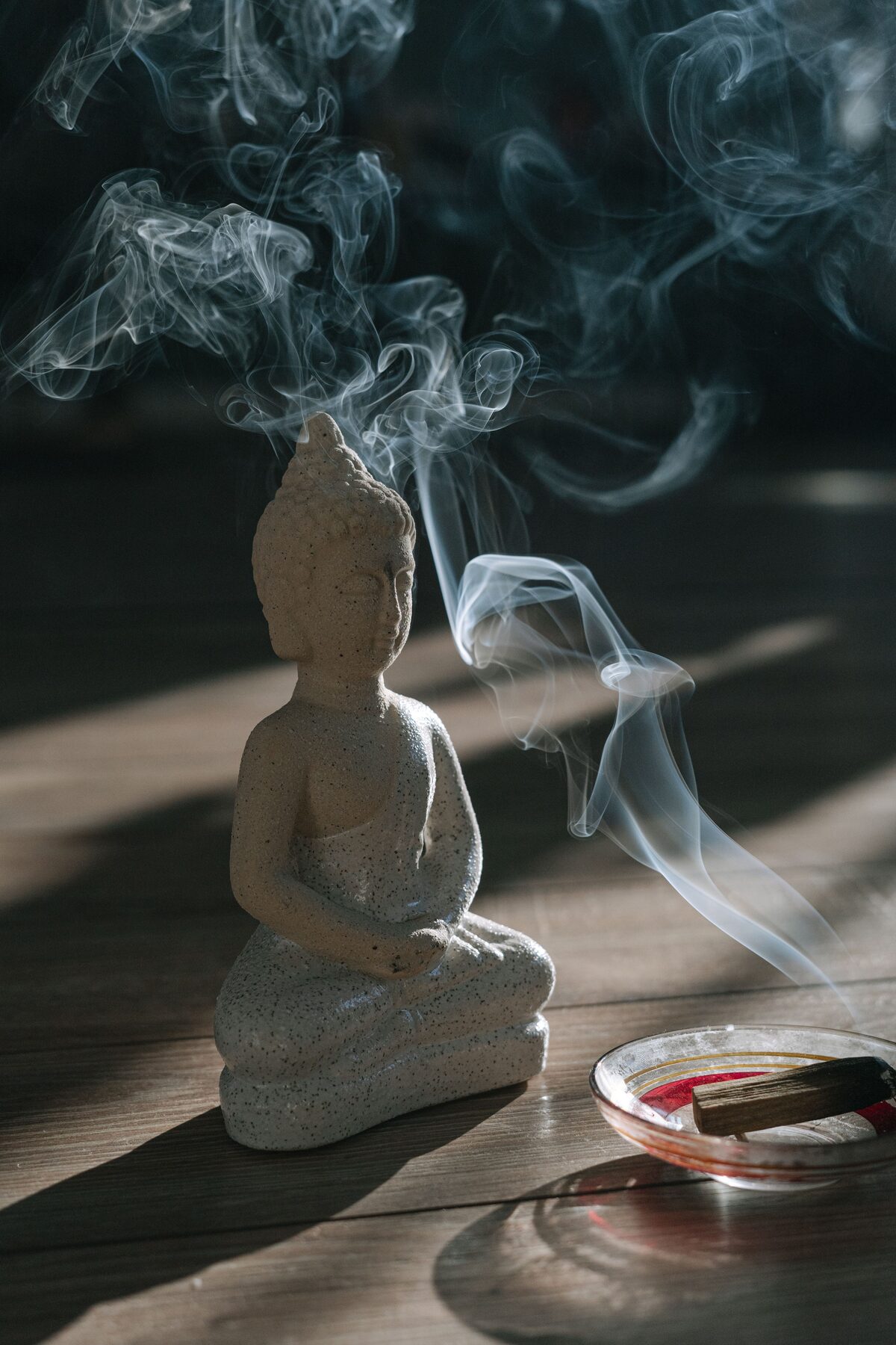 Comparación de copal en vara y palo santo en astillas sobre fondo índigo